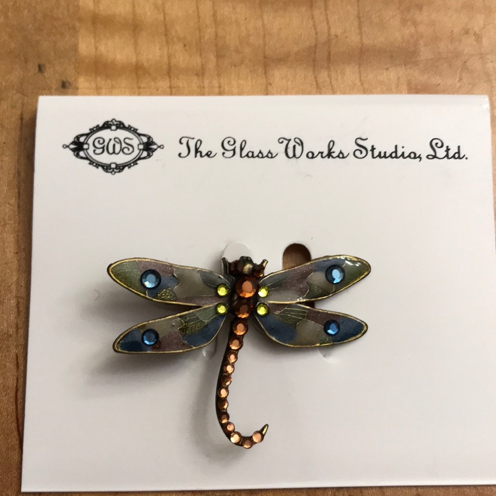 Dragon fly pin